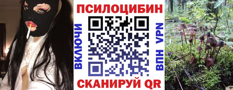 Псилоцибиновые грибы прущие грибы  купить  цена  Братск 